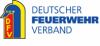 dfv-logo