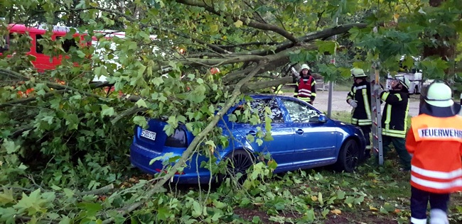 2017-10-05-ff-dbg-xavier-02