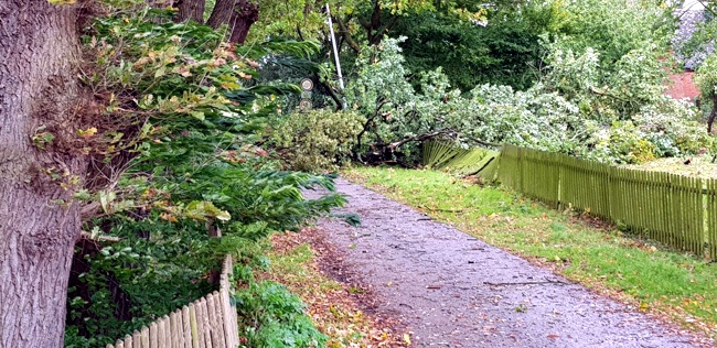 2017-10-05-ff-dbg-xavier-03