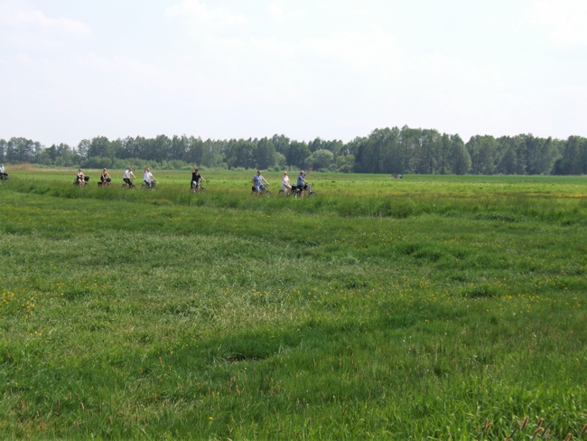 2018-05-14 FF Clenze 03