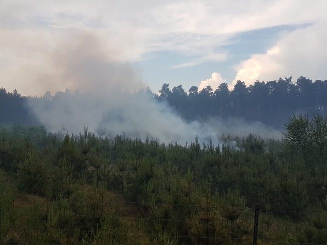 2018-05-31 FF Gartow 02