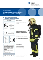 DGUV-100-001 Grundsaetze Praevention